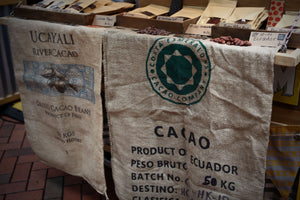 Cacao Beans Origins